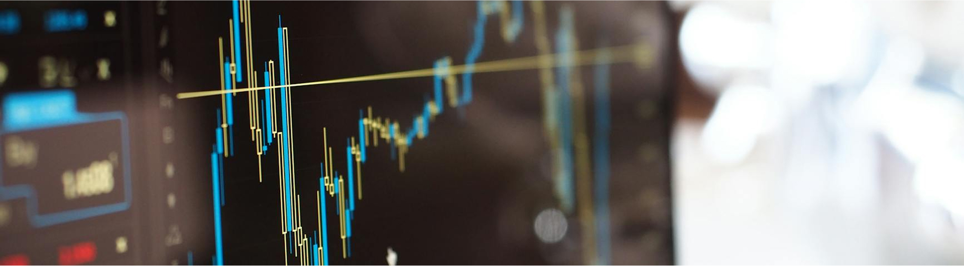 Financial Highlights and Reports